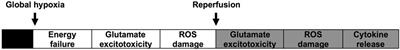 Understanding the Full Spectrum of Organ Injury Following Intrapartum Asphyxia